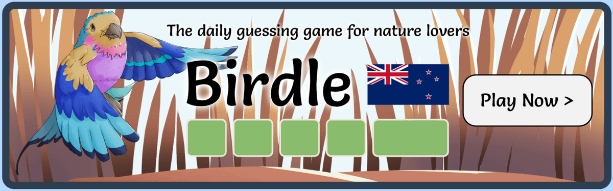 Birdle NZ