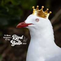 Dunedin Wildlife Hospital – Jordana and Libby Manning