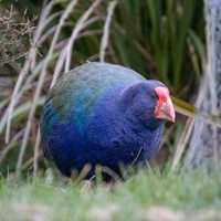 Jaimee Maha with Patagonia