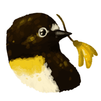 Otago University Birding Society