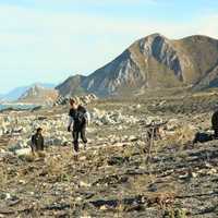 The East Coast Protection Group